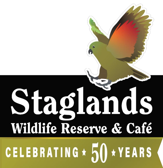 staglands.co.nz