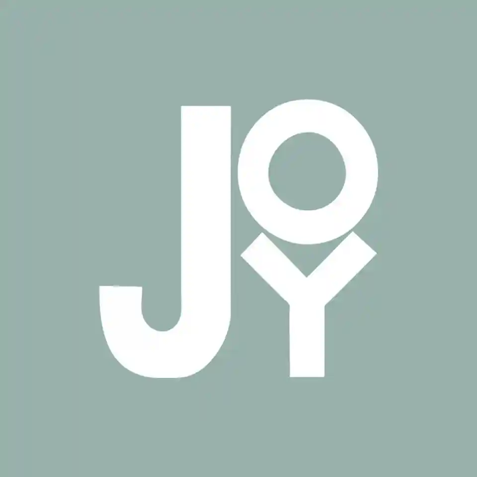 joythestore.com